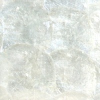 Capiz Shells Tile 10004